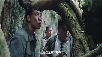 国产野战视频在线观看,全景展现我国军事实力与英勇风采